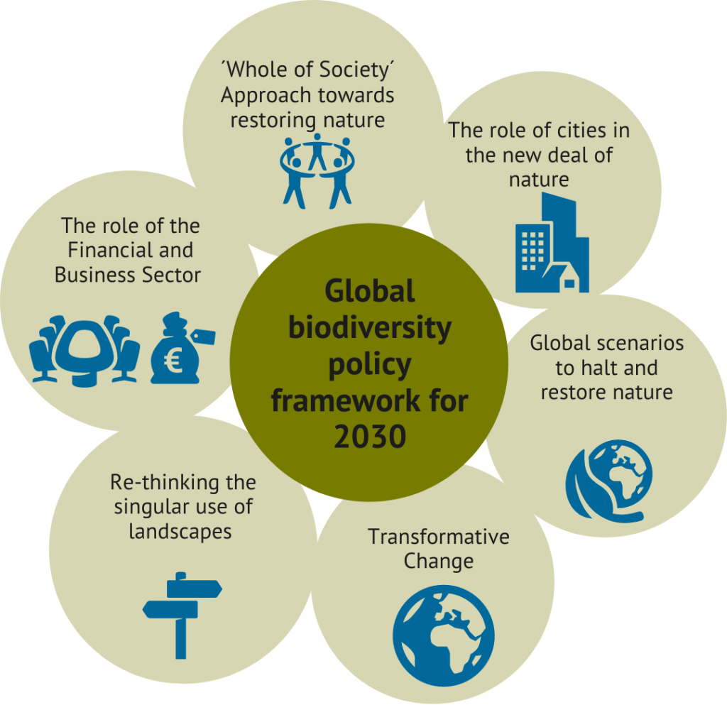 Infographic Global biodiversity policy framework
