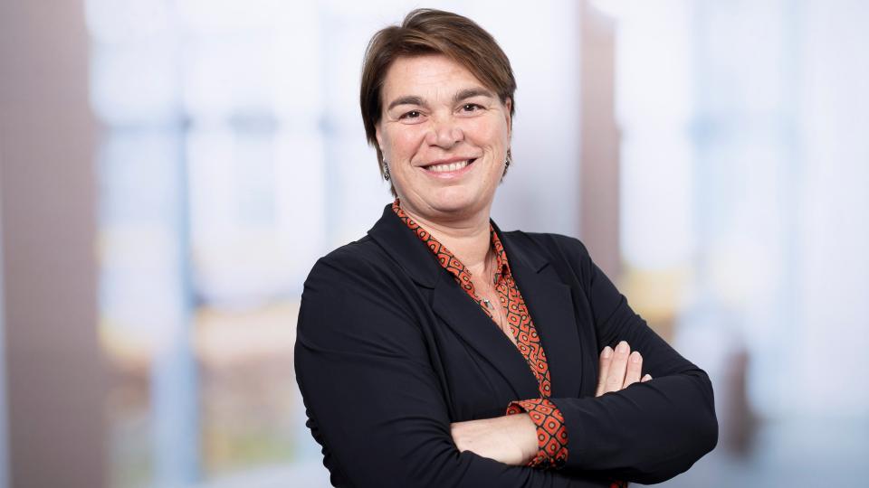 Prof. dr. ir. Nicole van Nes