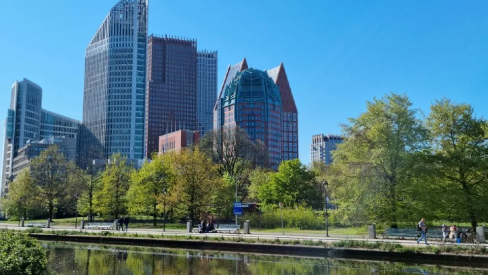 den haag, koekamp en hoge gebouwen