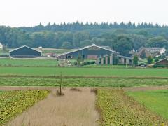 Foto van een stal en zonnebloemen in het Montferland