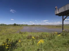 Foto Natuurgebied met uitkijkpunt