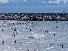 badgasten en industrie aan zee