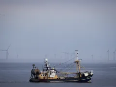 Vissersboot op zee met op de achtergrond windturbines