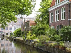 Gracht in Leiden met struiken en bomen