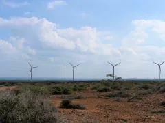 Wind turbines on the territory of the Indigenous Wayuu people in La Guajira, Colombia