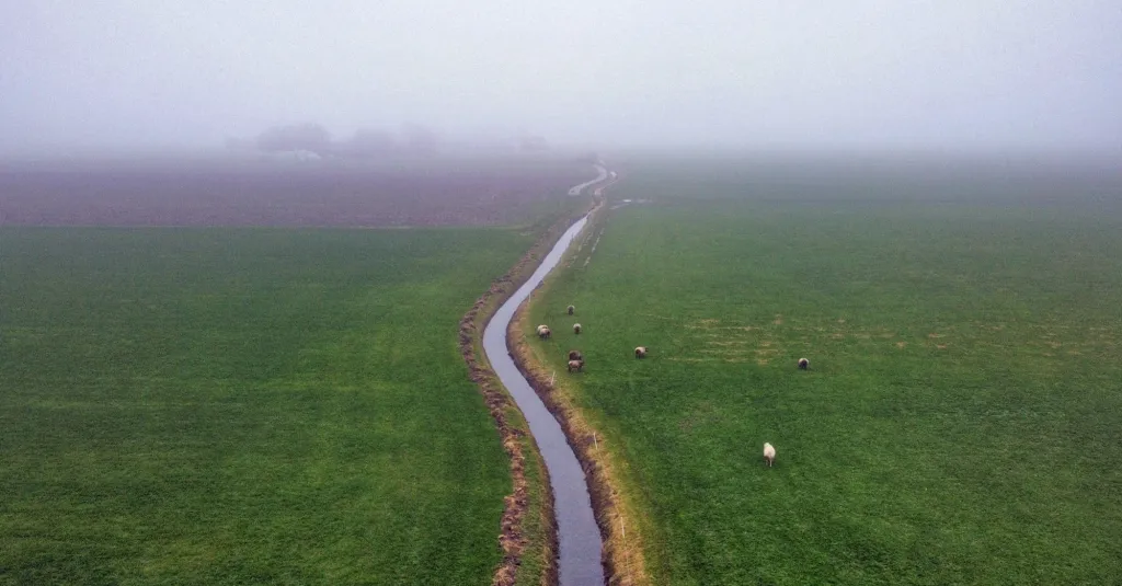 Drone opname van een landbouwgebied bij Genemuiden