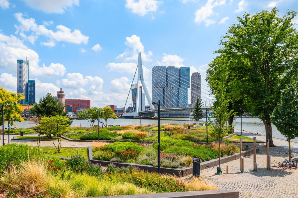 Foto van groen in de ruimte in Rotterdam