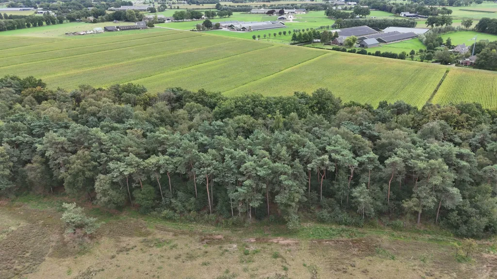 Luchtfoto van heide, bos en landbouw