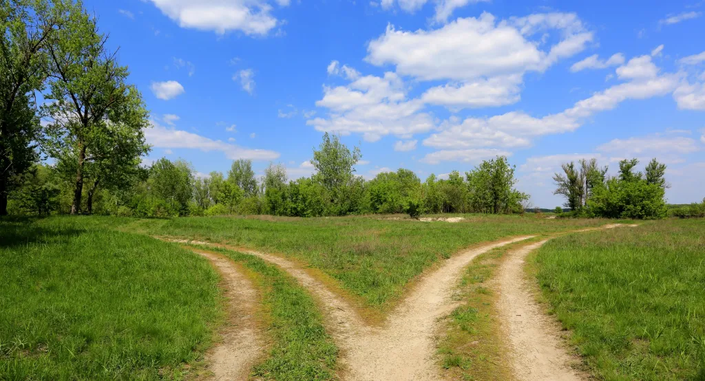 two paths in a forest