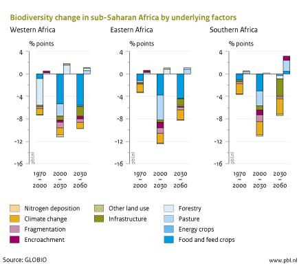 Figure: bar graphs that illustrate the biodiversity change in sub-Saharan Africa (PBL, 2012)