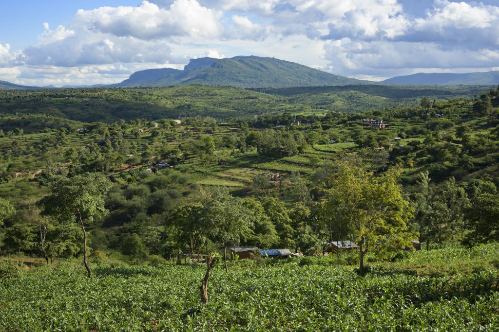 Photo Land restoration in Kenya