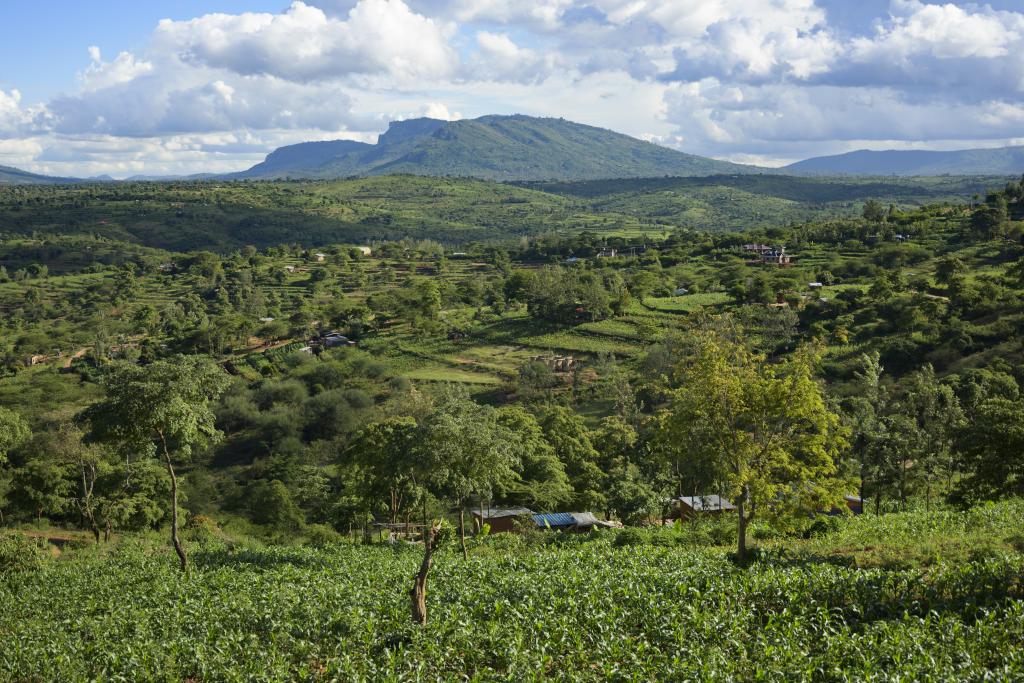 Land restoration in Kenya Photo Land restoration in Kenya