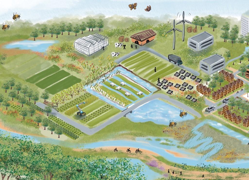 Natuurinclusief ruimtegebruik Het rapport Natuurverkenning 2050 – Scenario Natuurinclusief bevat de resultaten van het derde en laatste scenario van de Natuurverkenning 2050. PBL en WUR hebben de scenario’s van de Natuurverkenning 2050 samen ontwikkeld om de strategische keuzes in het natuurbeleid te voeden. De resultaten van de andere twee scenario’s zijn te vinden in de in 2020 verschenen Referentiescenario’s natuur - Tussenrapportage Natuurverkenning 2050.