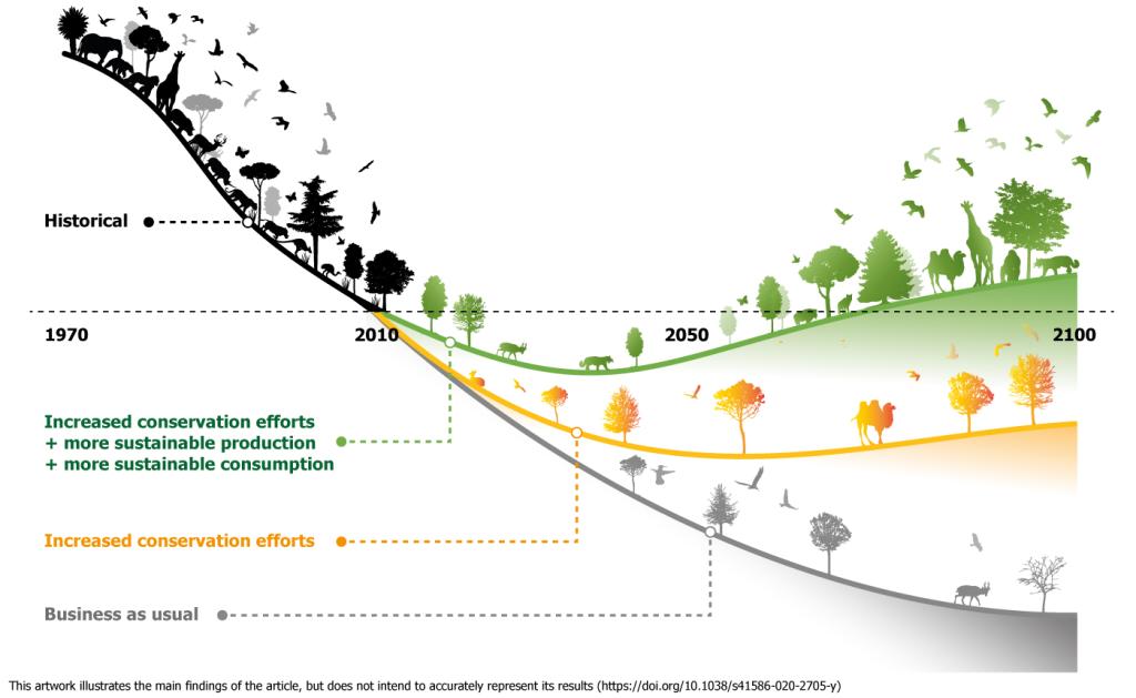Infographic visualizing that terrestrial biodiversity is most effectively restored if area-based conservation is combined with a transformation of the food system