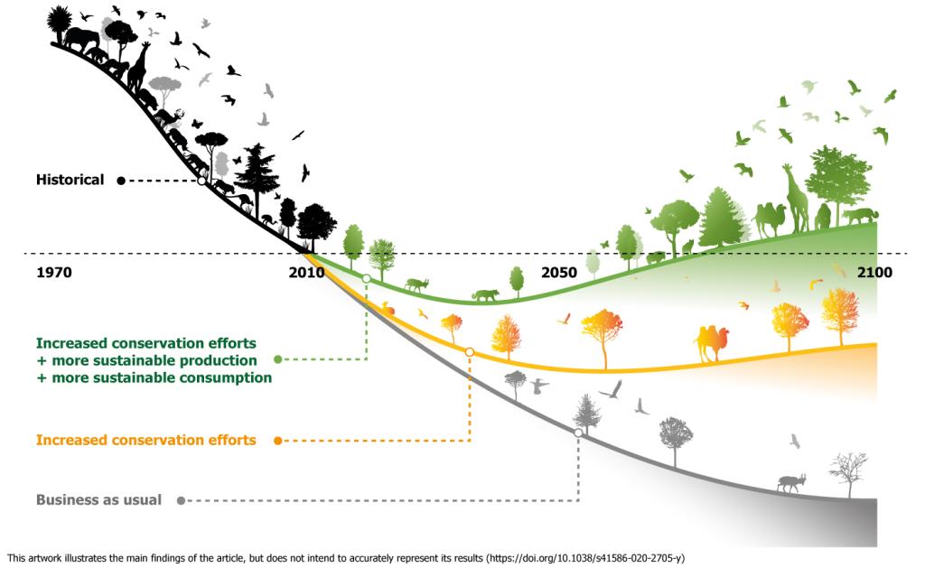Bending the curve - infographic De wereldwijde afname van biodiversiteit kan worden gestopt met een geintegreerd pakket van maatregelen gericht op natuurbescherming enerzijds en transformatie van het voedselsysteem anderzijds.
