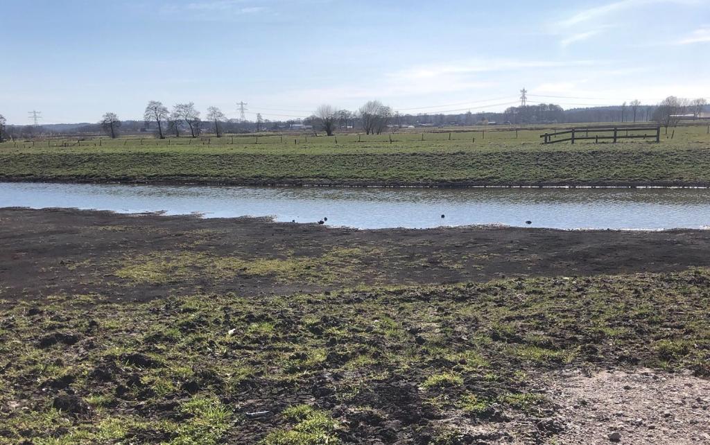 Natuurherstel in de Binnenveldse Hooilanden bij Wageningen