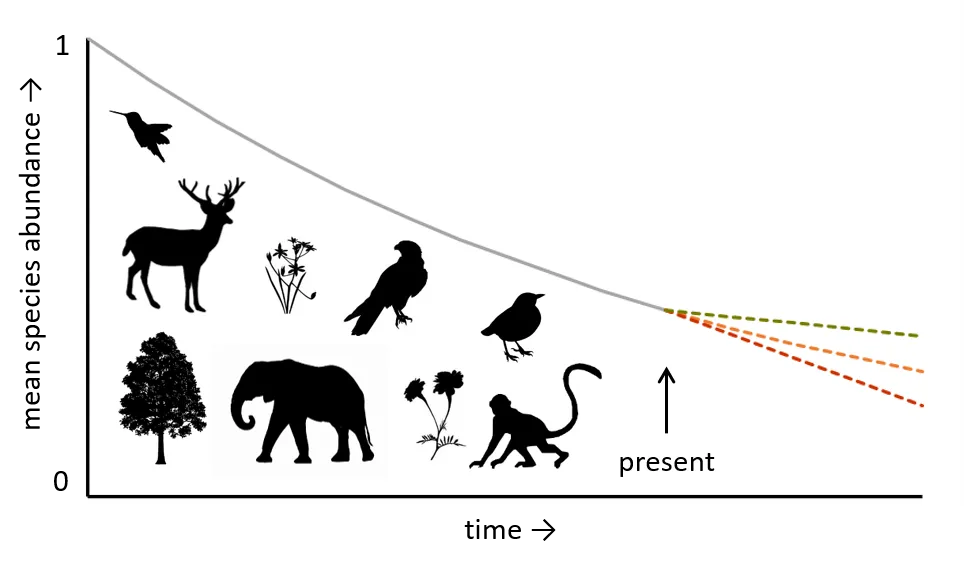 Decline of biodiversity intactness 