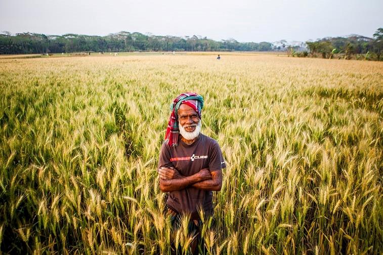 Tara Miah, a farmer from Rajguru in Rahamanbari union, Barisal, Bangladesh Tara Miah, a farmer from Rajguru in Rahamanbari union, Barisal, Bangladesh