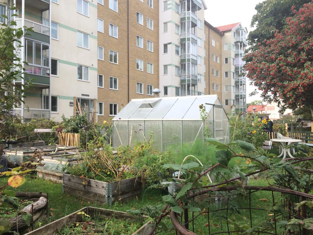 Photo Urban gardening in Malmö, Sweden