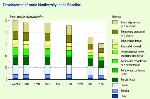 Figure: bar chart with the development of world biodiversity in the baseline 1700-2050; In 2000, 73% of the worldwide original, indigenous biodiversity (indicator MSA) was left. Without additional biodiversity policies, it will decline by another 11%, between 2000 and 2050. The underlying causes are the growth in world population and a simultaneous rise in prosperity. The remaining biodiversity will mainly occur in places that are difficult to exploit, such as desert, tundra and boreal forest