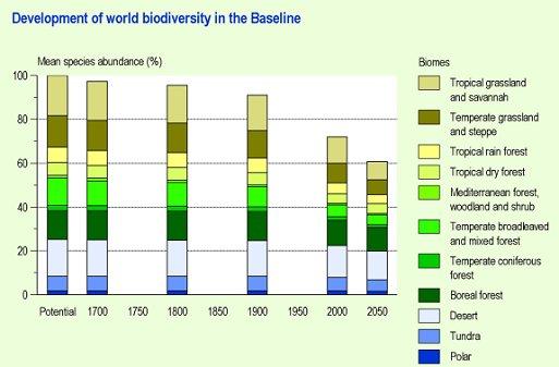Figure: bar chart with the development of world biodiversity in the baseline 1700-2050; In 2000, 73% of the worldwide original, indigenous biodiversity (indicator MSA) was left. Without additional biodiversity policies, it will decline by another 11%, between 2000 and 2050. The underlying causes are the growth in world population and a simultaneous rise in prosperity. The remaining biodiversity will mainly occur in places that are difficult to exploit, such as desert, tundra and boreal forest