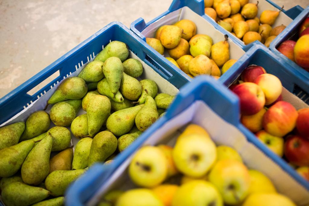 Photo of crates with pears and apples