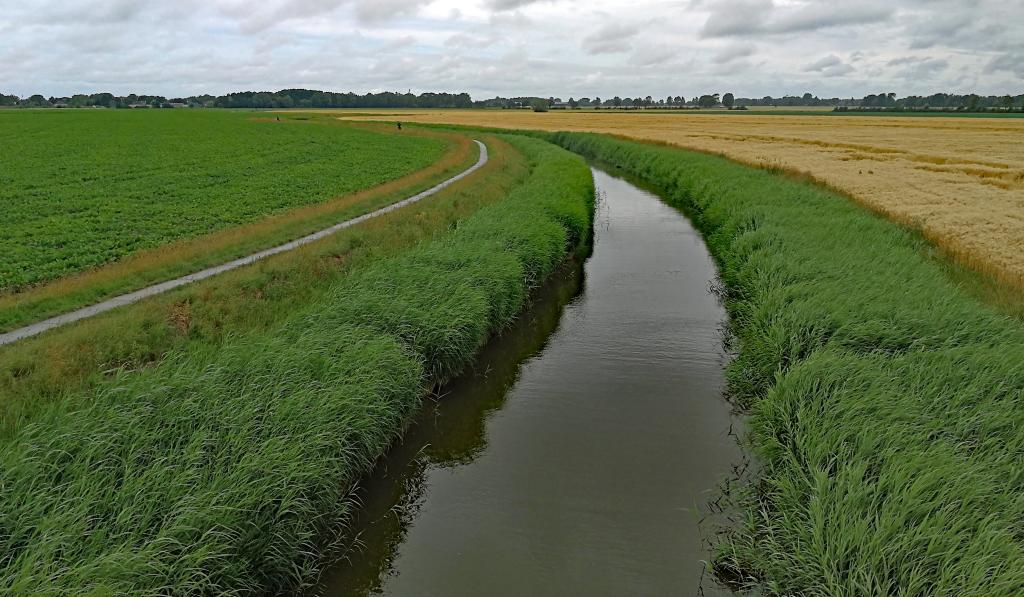 De Pieterbuurtsermaar in het Groningse Hogeland