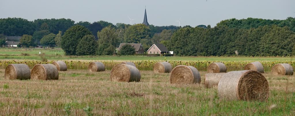 Sfeerbeeld met hooibalen bij Beek, gemeente Montferland Sfeerbeeld met hooibalen bij Beek, gemeente Montferland