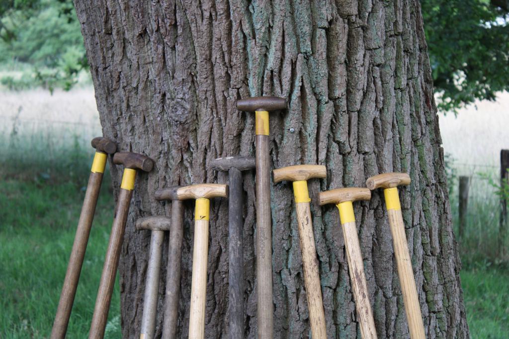 Samen werken aan landbouw en natuur Foto schopstelen tegen een eik - samenwerken aan landbouw en natuur