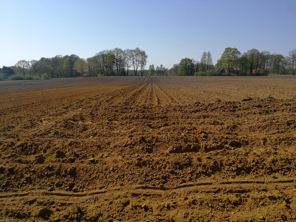 Arable land in the Netherlands