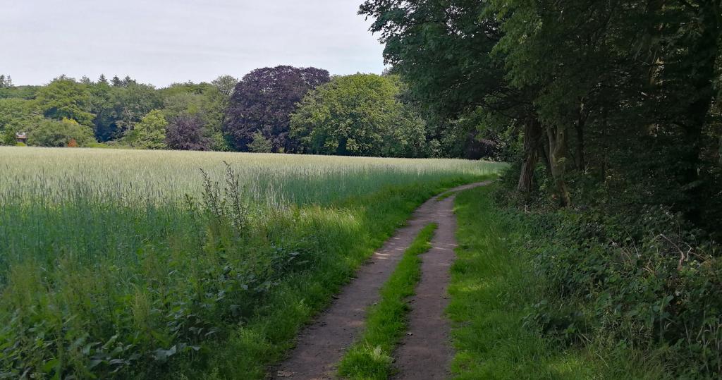 A diverse agricultural landscape near Huizen