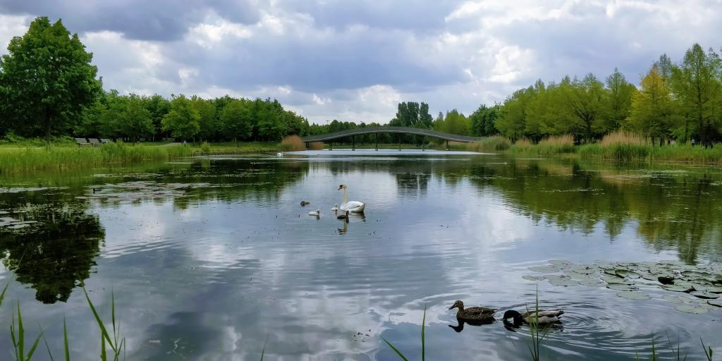 Photo Máximapark Utrecht; Volunteers play an important role in the maintenance and development of the park