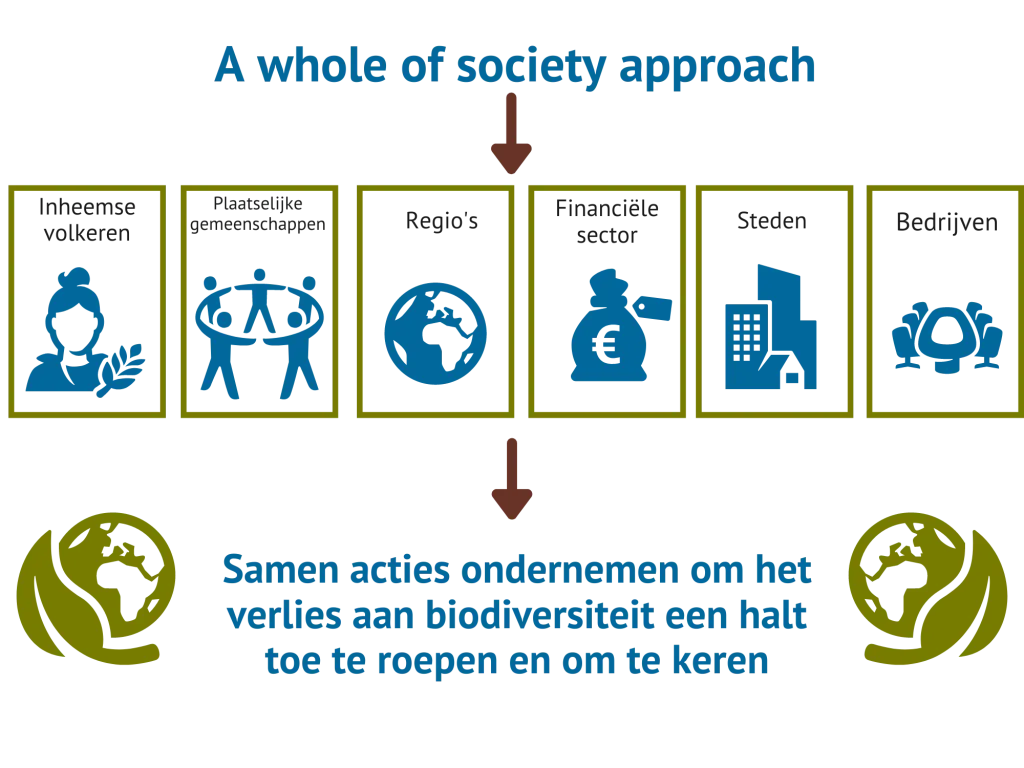 Infographic 'Whole of society approach'