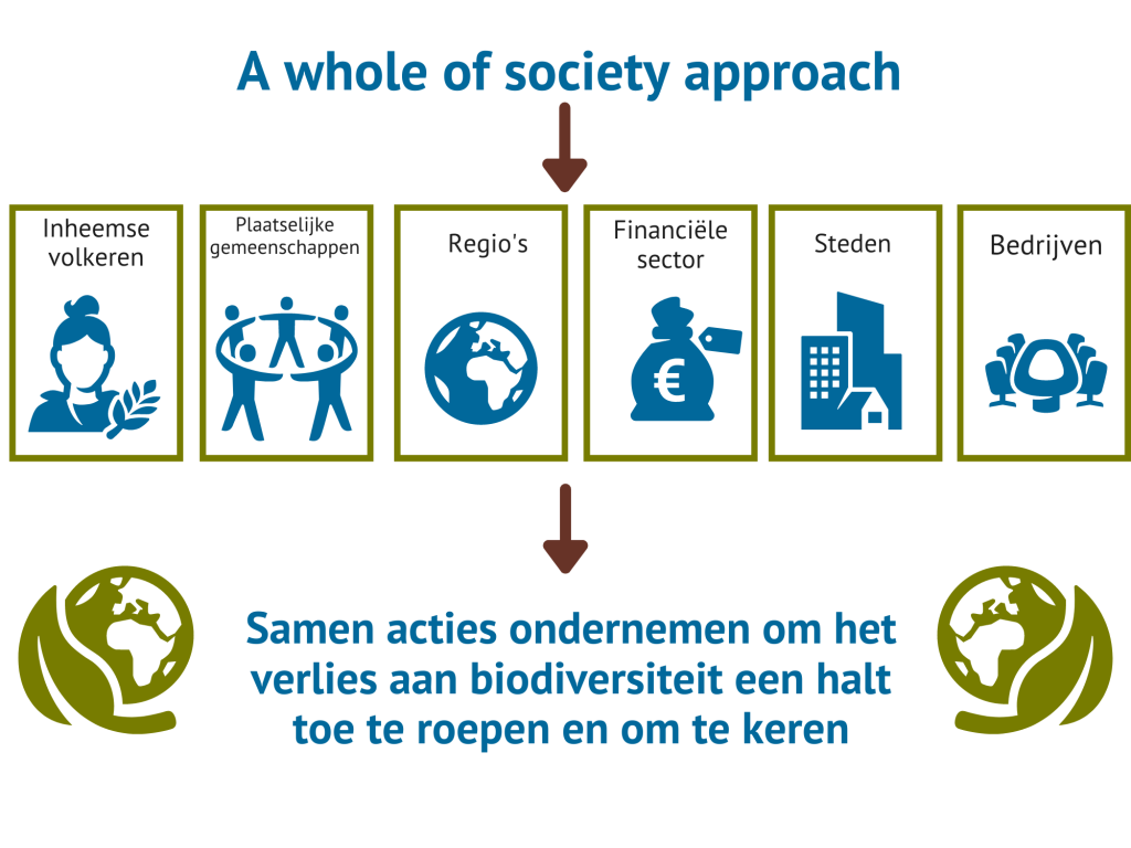 Infographic 'Whole of society approach'