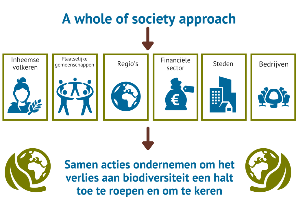 Een 'Whole of society approach' Infographic 'Whole of society approach'