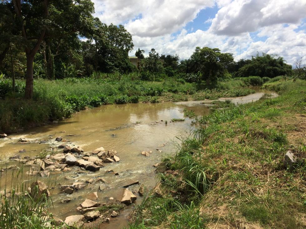 Small river and riparian zone, Kumasi, Ghana Photo Small river and riparian zone, Kumasi, Ghana