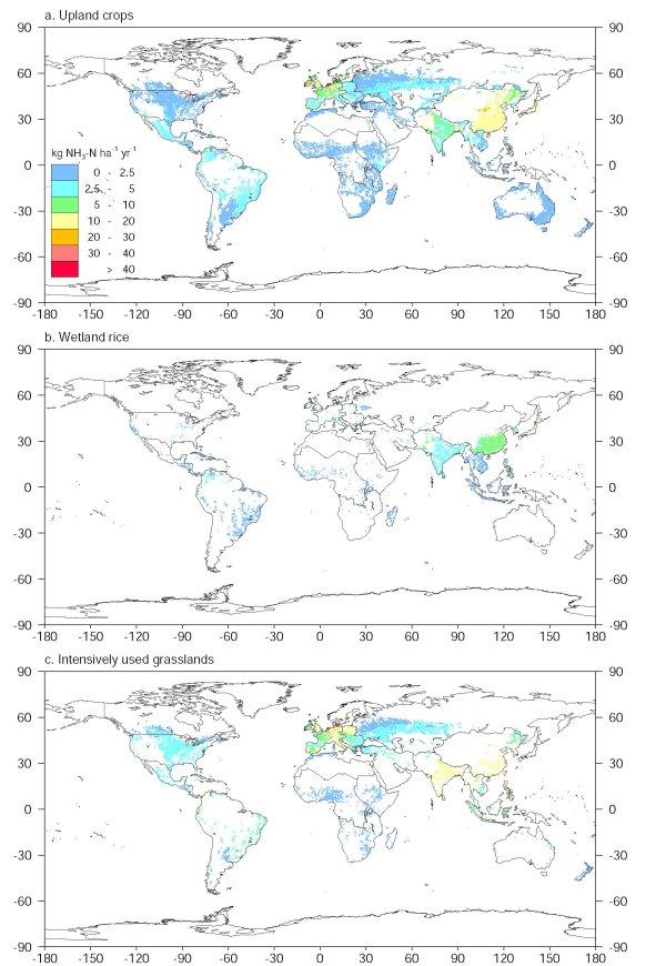 Figure 2 : 3 world maps with the estimated annual NH3 volatilization loss for 1995 from animal manure used in upland crops (1), wetland rice fields (2) and grasslands (3)