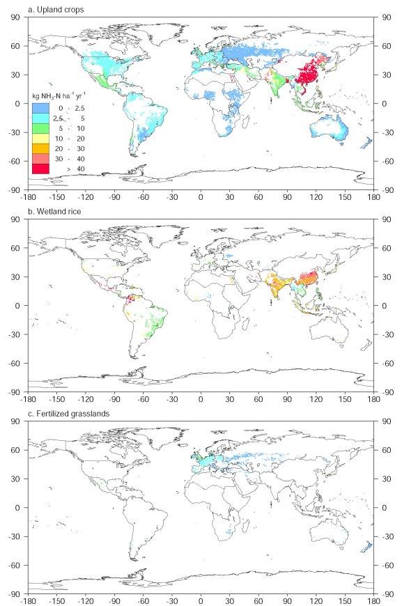 Figure: 3 world maps with the estimated annual NH3 volatilization loss for 1995 from synthetic fertilizers used in upland crops (1), wetland rice fields (2) and grasslands (3) 