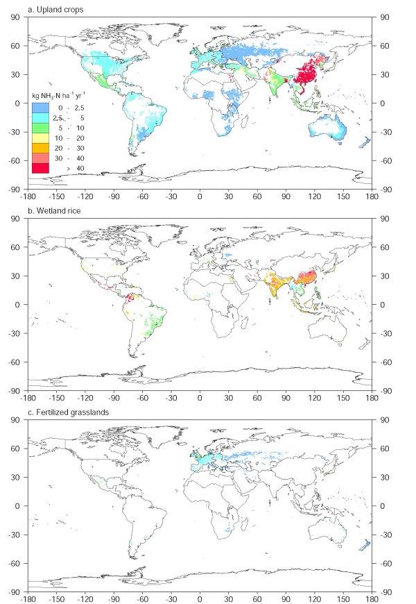 Figure: 3 world maps with the estimated annual NH3 volatilization loss for 1995 from synthetic fertilizers used in upland crops (1), wetland rice fields (2) and grasslands (3)