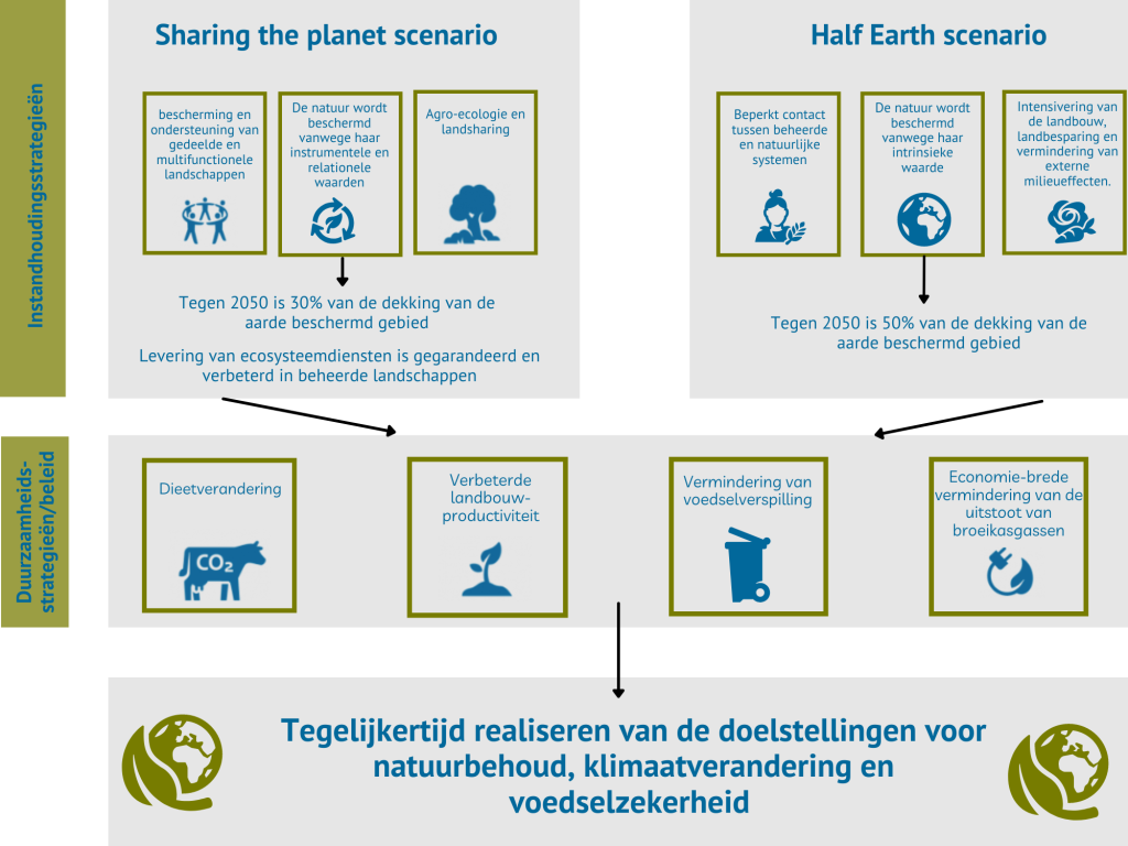 Scenario's voor wereldwijd biodiversiteitsherstel Infographic Scenario's voor wereldwijd biodiversiteitsherstel