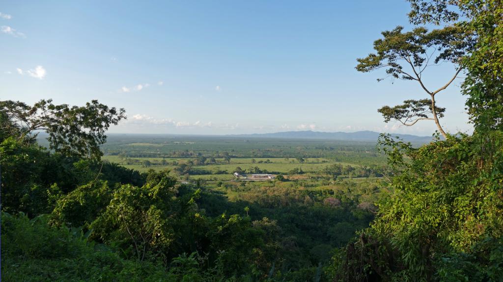 Managed landscapes integrate multiple values and objectives, Valle de Sula in Honduras Managed landscapes integrate multiple values and objectives, Valle de Sula in Honduras