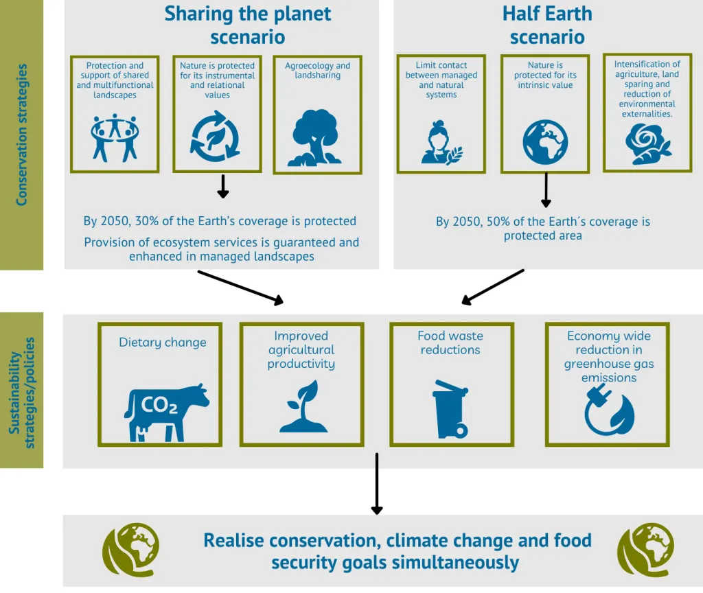 Infographic on realising goals simultaneously