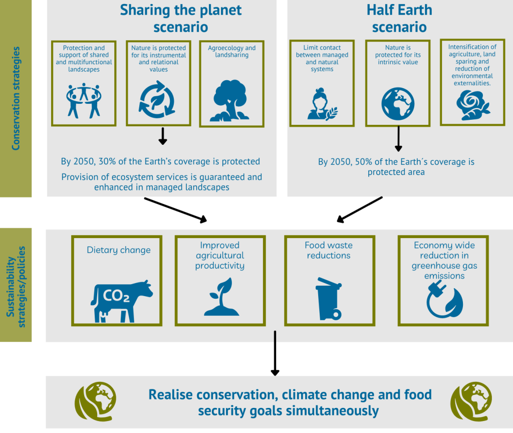 Infographic on realising goals simultaneously