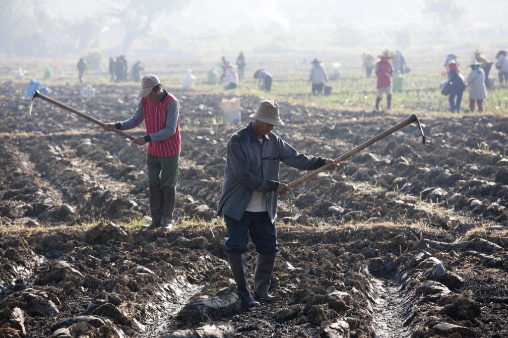 People working on the land