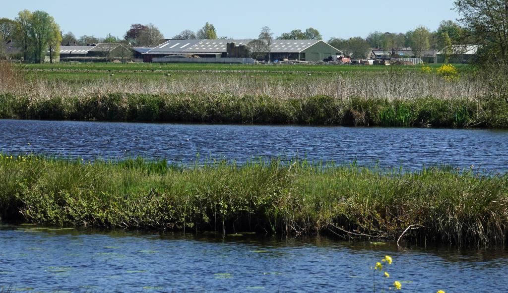 Een moderne veehouderij bij het Natura 2000-gebied Oostelijke Vechtplassen