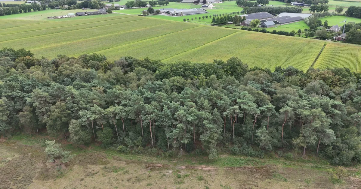 Ambitieus kabinetspakket brengt nieuw stikstofdoel binnen bereik, maar uitvoering vraagt uiterste van boeren en overheid