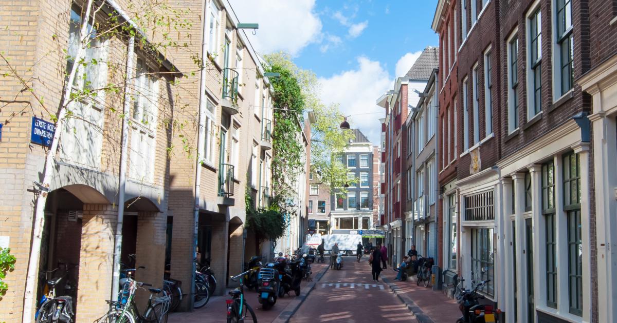 Relocations and Segregation in Dutch Cities