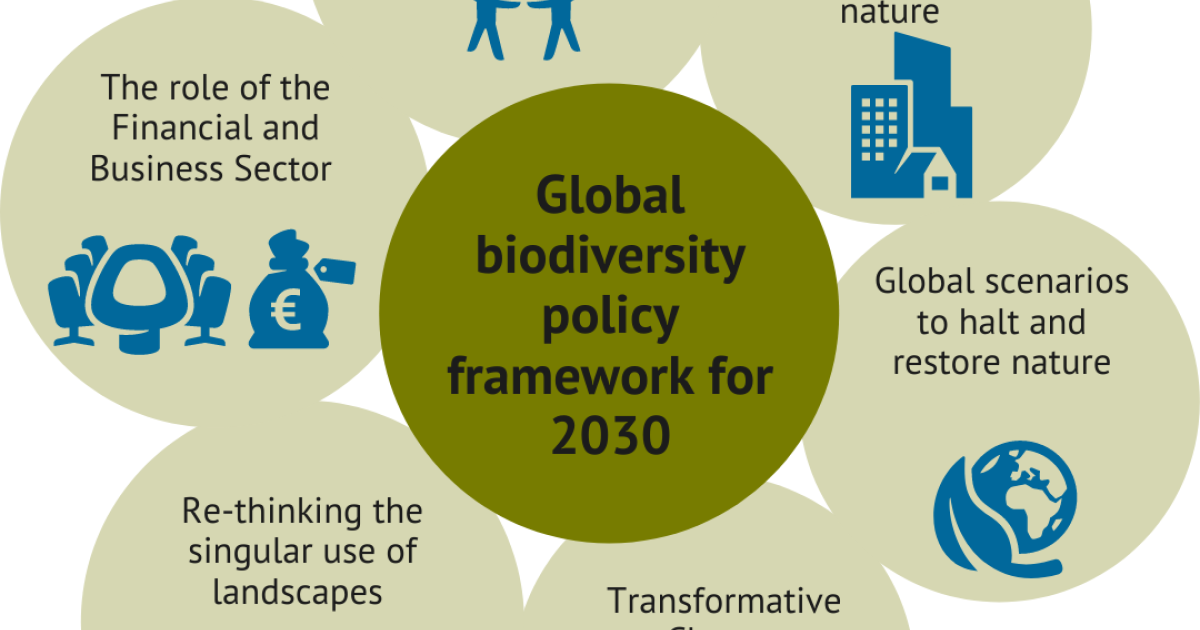New global biodiversity policy framework for 2030 central topic at ...