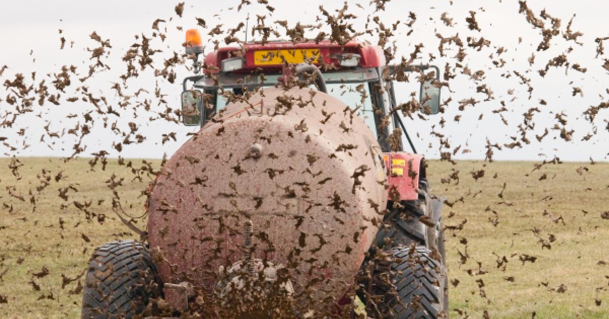 Stikstof: 'Te veel van het goede' | Planbureau voor de Leefomgeving