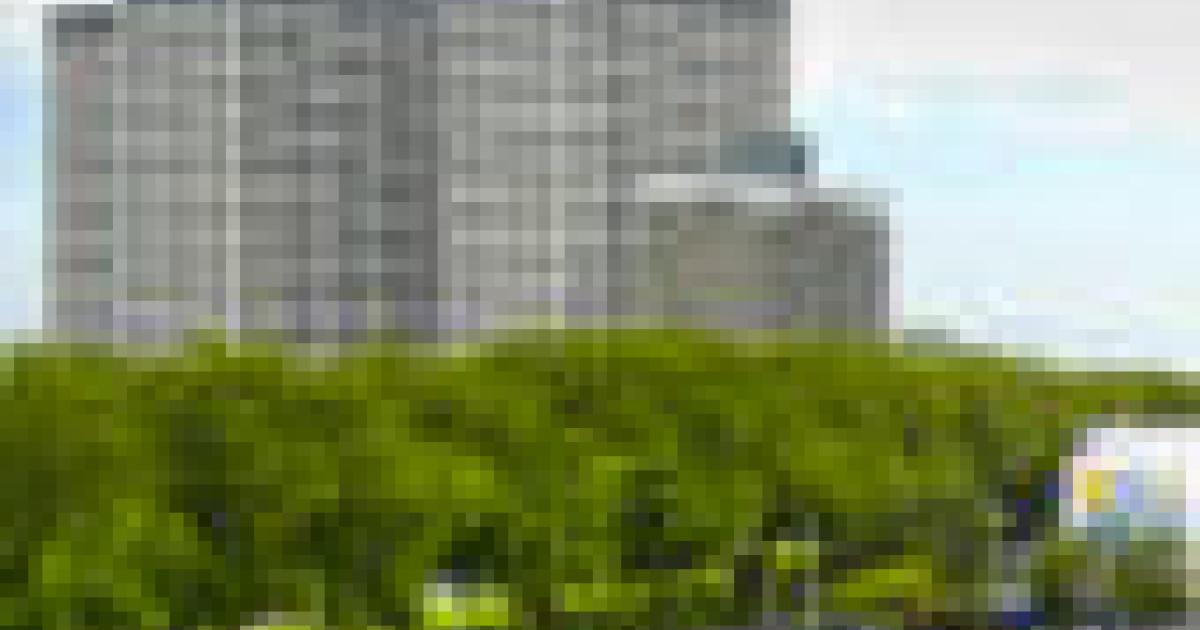 Landbouw  Wikipedia